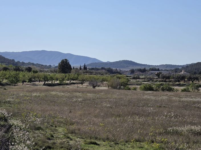 Image No.12-Terre à vendre à Monóvar