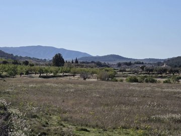 0a66e13833310395