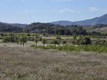 d69df1bfaa23d969df1bfaa2423