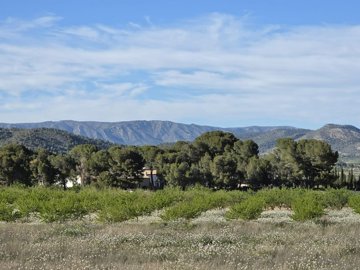 d69df1bfa9e41469df1bfa9e458