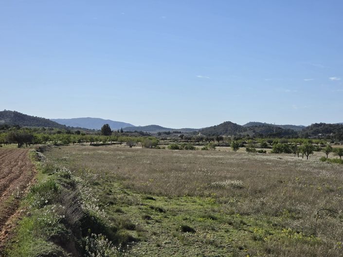 Image No.5-Terre à vendre à Monóvar