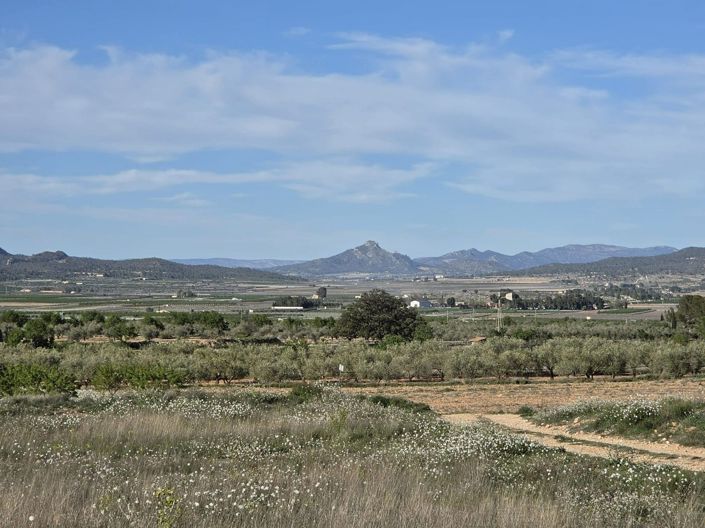 Image No.6-Land for sale