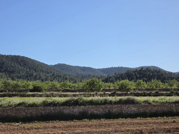 Image No.7-Land for sale
