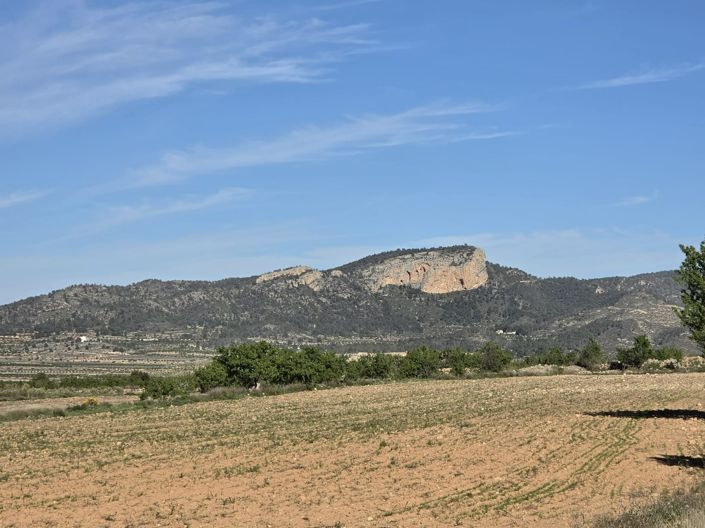 Image No.8-Terre à vendre à Monóvar