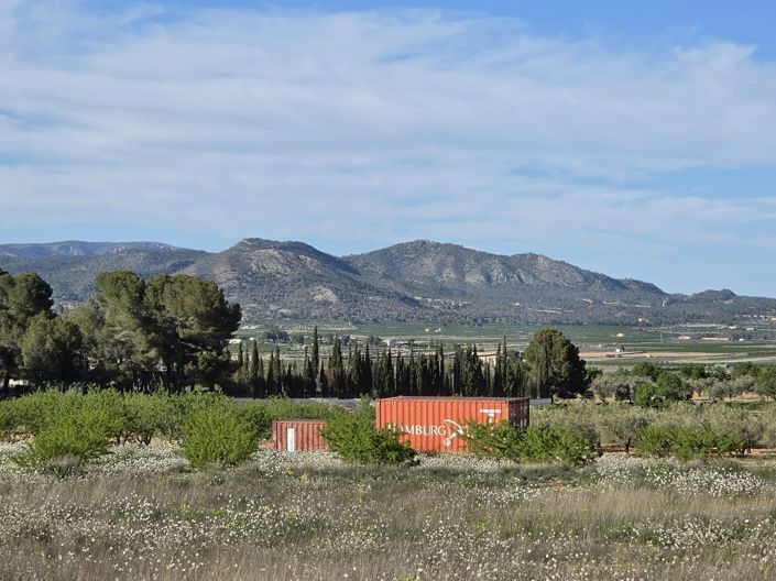 Image No.9-Terre à vendre à Monóvar