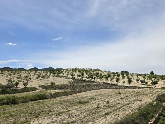 Image No.18-Maison de 2 chambres à vendre à La Zarza