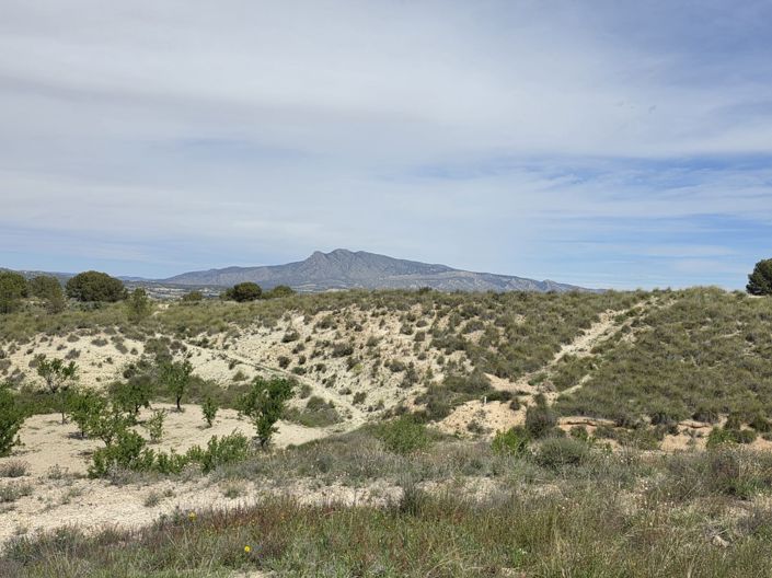 Image No.23-Maison de 2 chambres à vendre à La Zarza