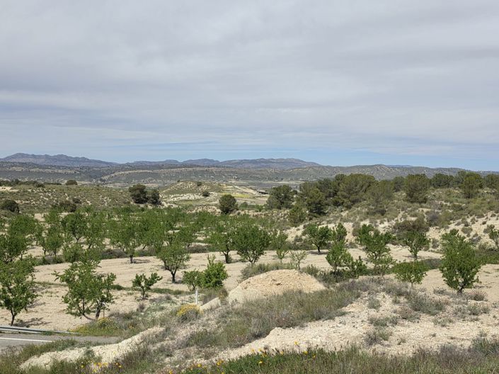 Image No.24-Maison de 2 chambres à vendre à La Zarza