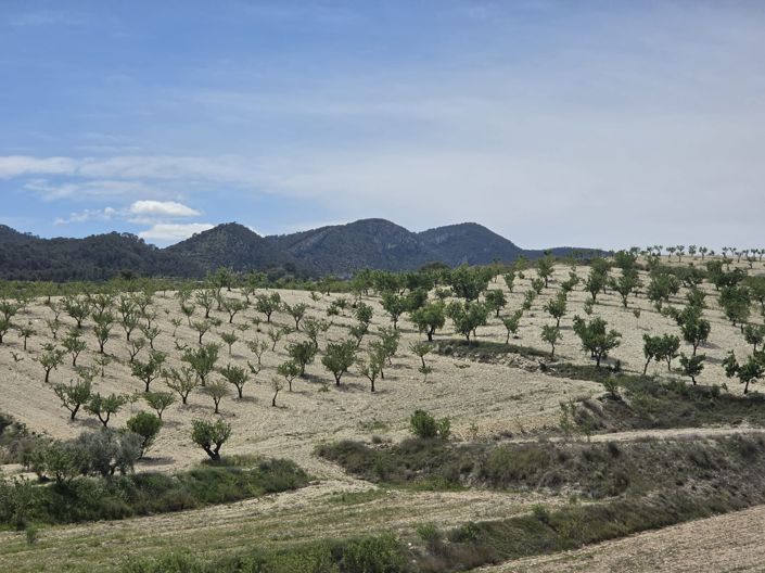 Image No.26-Maison de 2 chambres à vendre à La Zarza