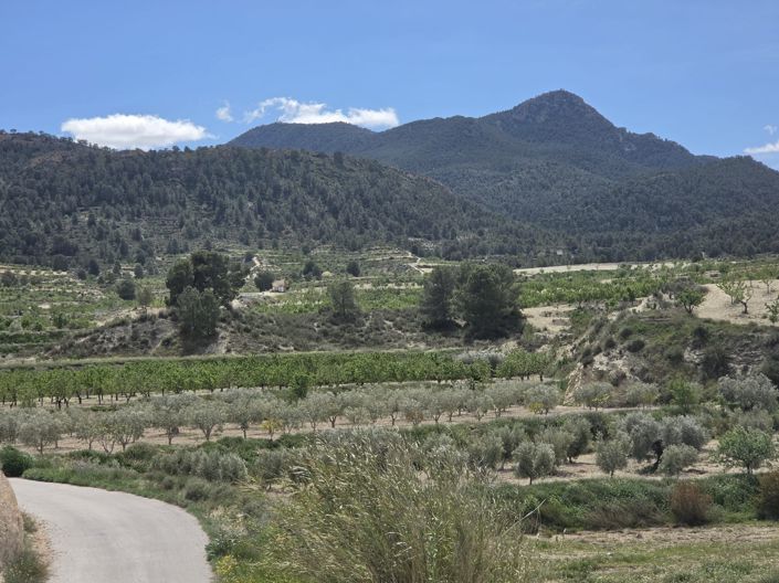 Image No.27-Maison de 2 chambres à vendre à La Zarza