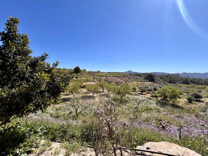 Image No.17-Maison de 2 chambres à vendre à Barinas