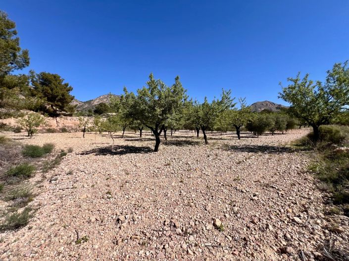 Image No.18-Maison de 2 chambres à vendre à Barinas