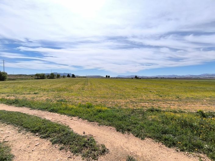 Image No.24-Maison de campagne de 7 chambres à vendre à Yecla