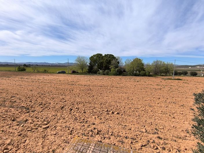 Image No.31-Maison de campagne de 7 chambres à vendre à Yecla
