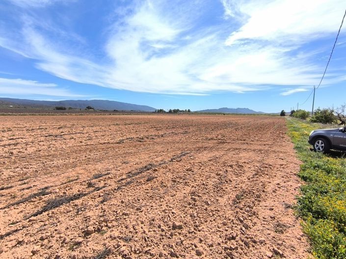 Image No.32-Maison de campagne de 7 chambres à vendre à Yecla