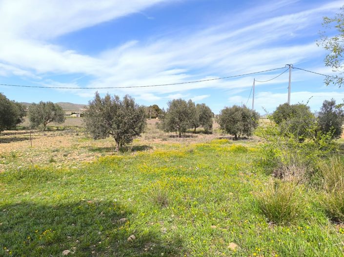Image No.30-7 Bed Country House for sale