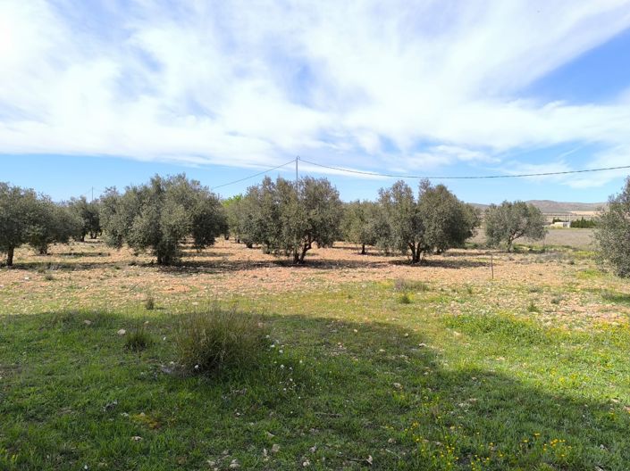 Image No.31-Maison de campagne de 7 chambres à vendre à Yecla