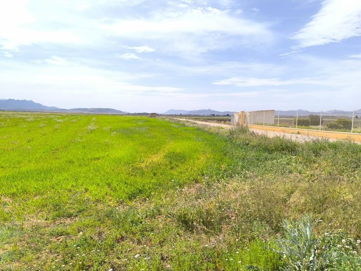 Image No.9-Maison de campagne de 7 chambres à vendre à Yecla