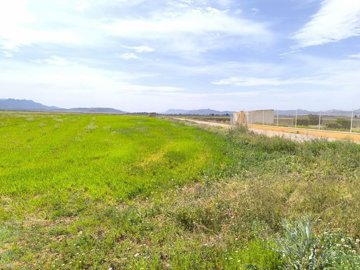 o1jm6k6vj4ohk581morre4p3c1c