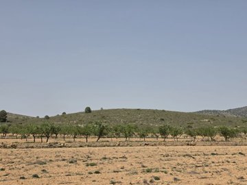 d69de87905395c69de87905398c