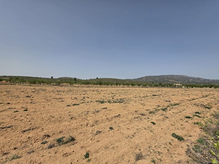 Image No.11-Terre à vendre à Pinoso