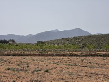 d69de879051e8369de879051ec9