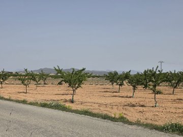 d69de879050e6069de879050e96