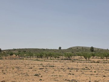 d69de87905053e69de879050583