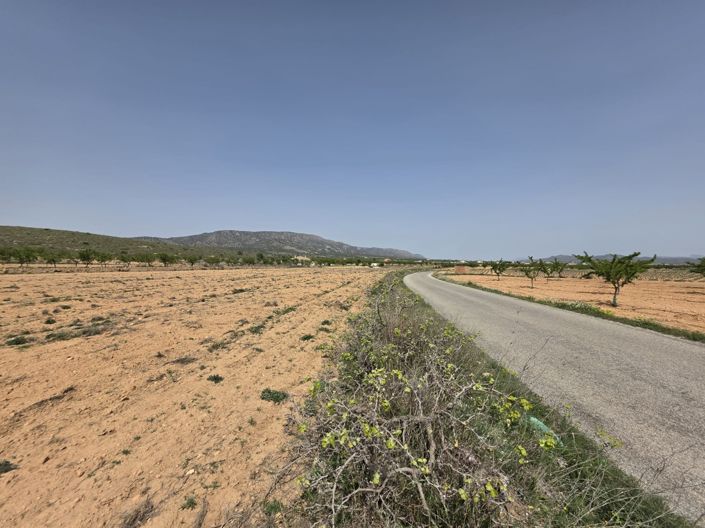 Image No.2-Terre à vendre à Pinoso