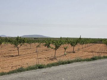 d69de87905159869de8790515dd