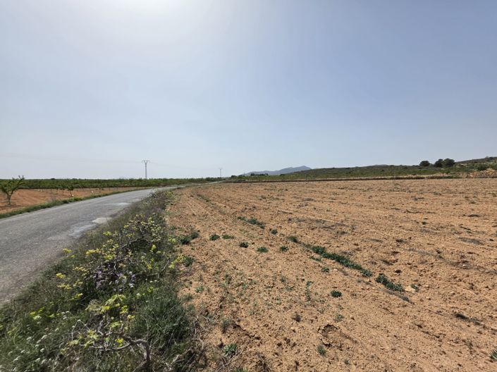 Image No.9-Terre à vendre à Pinoso