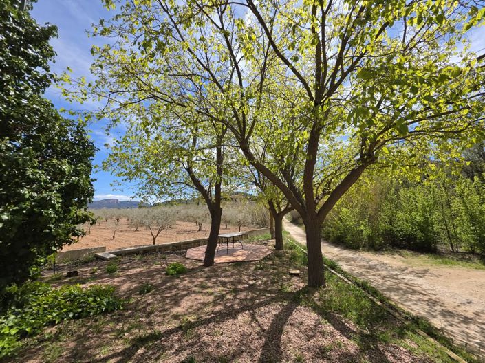 Image No.38-Maison de campagne de 5 chambres à vendre à Monóvar