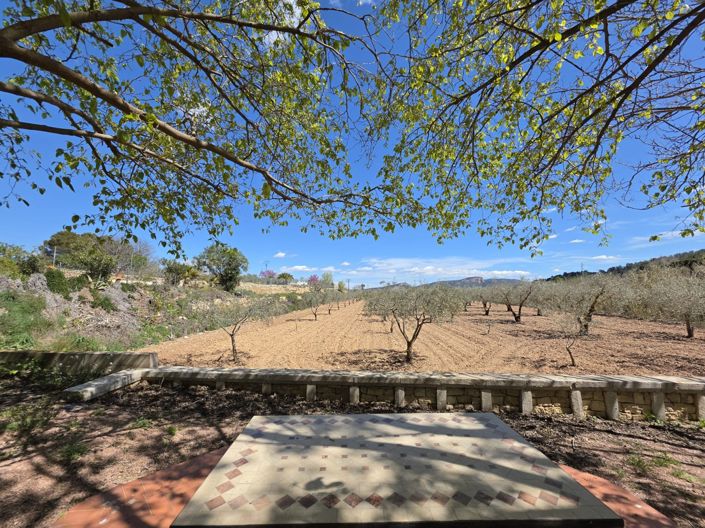 Image No.50-Maison de campagne de 5 chambres à vendre à Monóvar