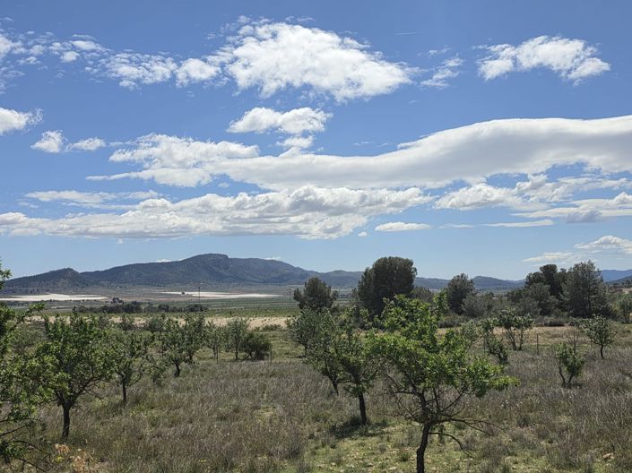 Image No.25-3 Bed Villa for sale