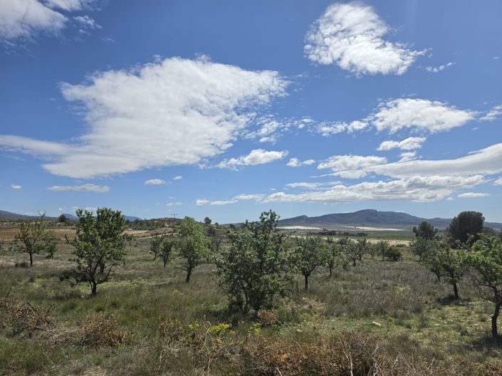 Image No.31-3 Bed Villa for sale