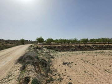 d69df1535c17ca69df1535c1810