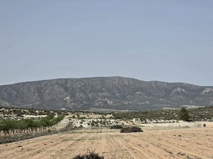 Image No.11-Land for sale