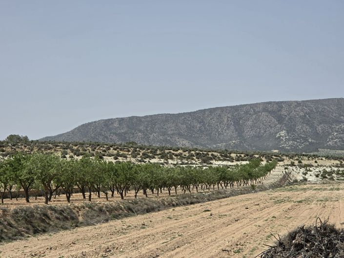 Image No.4-Land for sale