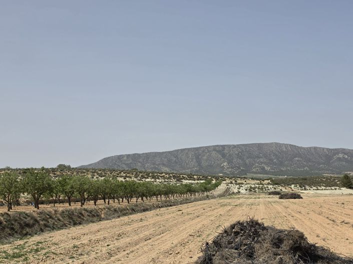 Image No.5-Land for sale