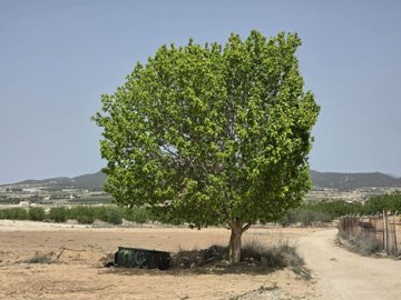 d69df1535c290069df1535c2946