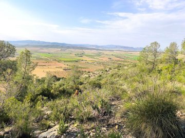 o1jmegr096os1pcc1i5l1kbm6qe1p