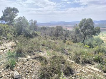 o1jmegr0965oohe1s4p1682an220