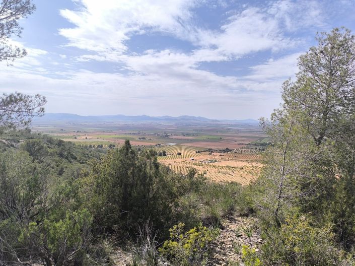 Image No.11-Land for sale