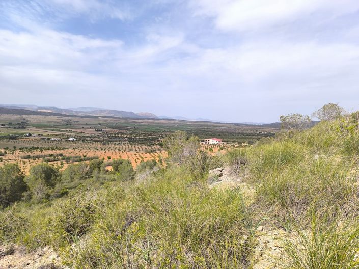 Image No.12-Land for sale