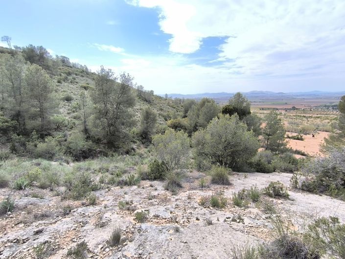 Image No.13-Land for sale