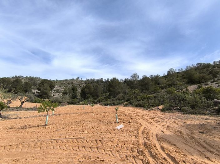 Image No.14-Land for sale