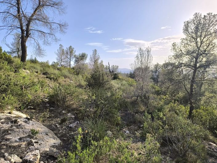 Image No.3-Land for sale