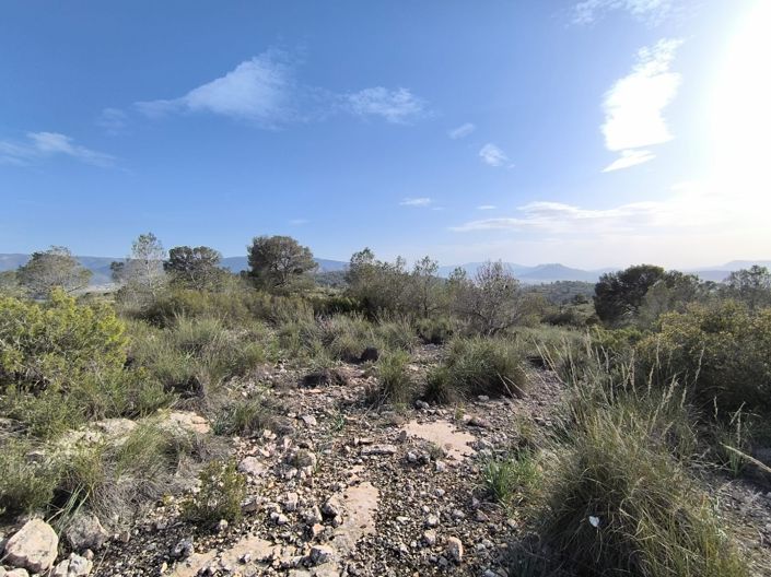 Image No.4-Land for sale