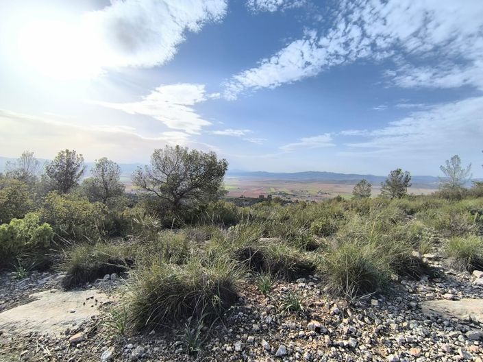 Image No.5-Land for sale