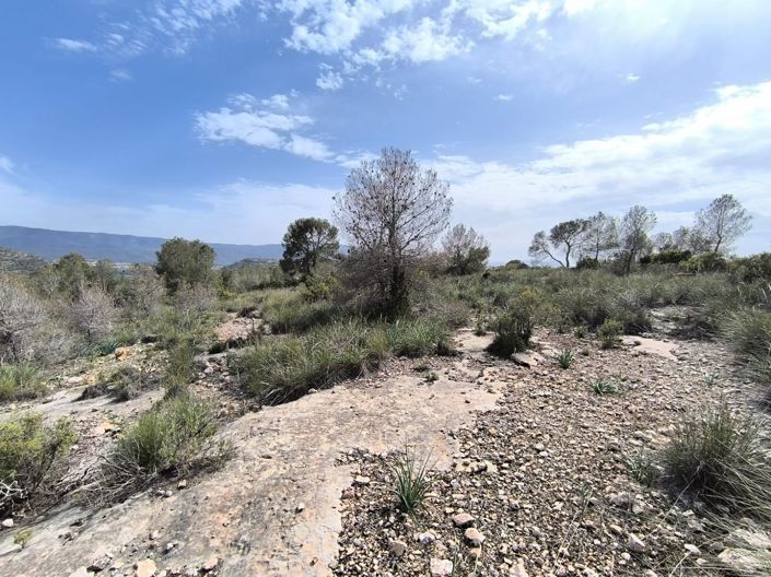 Image No.6-Land for sale